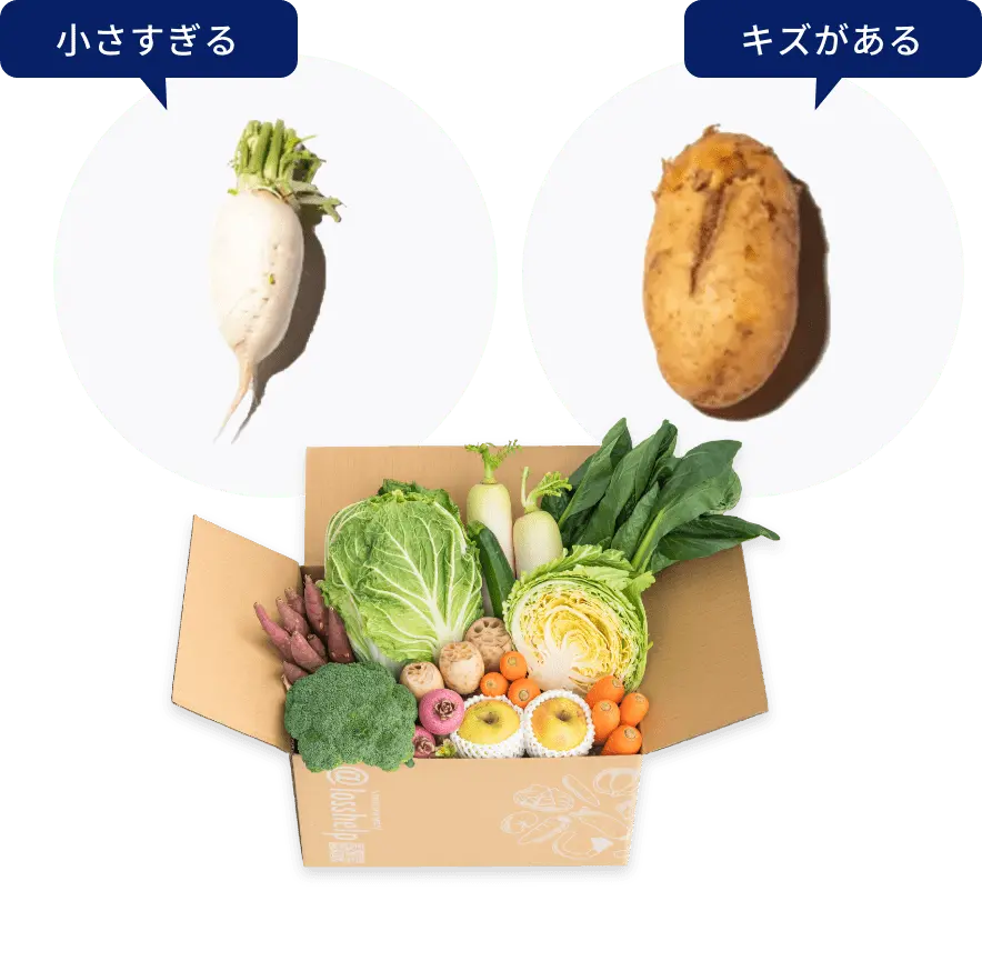 形が曲がっていたり、少し大きかったりする野菜