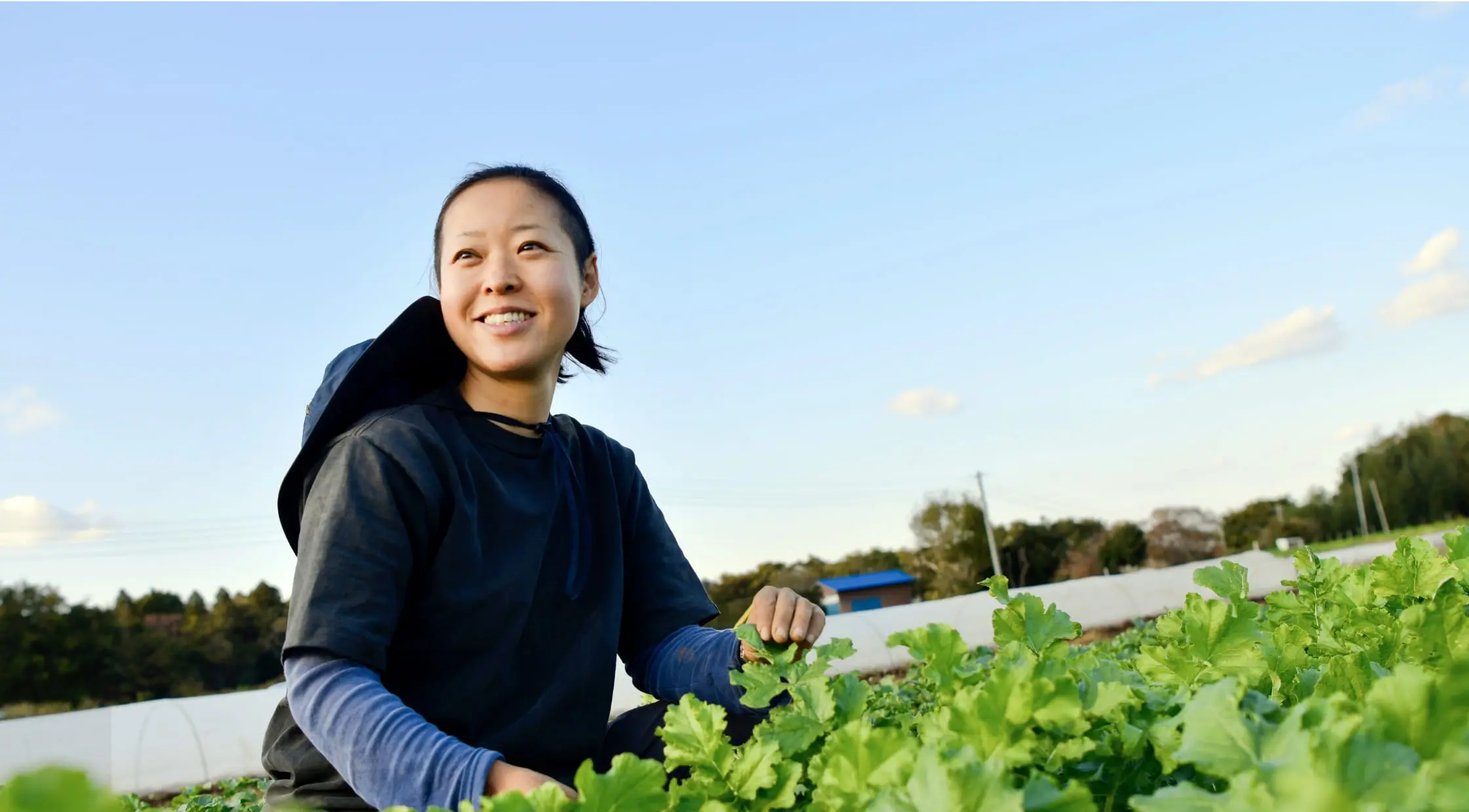畑で農業を行っている様子