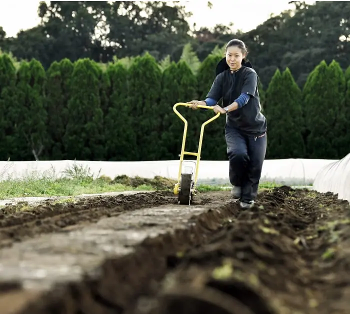 畑で農業を行っている様子