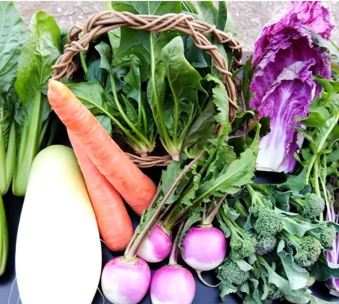 色とりどりの野菜