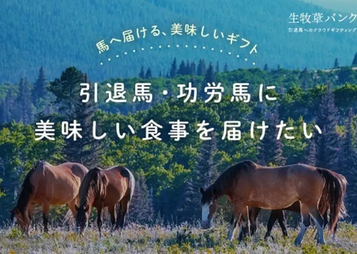 青空の下、犬と一緒に野原を歩く人々