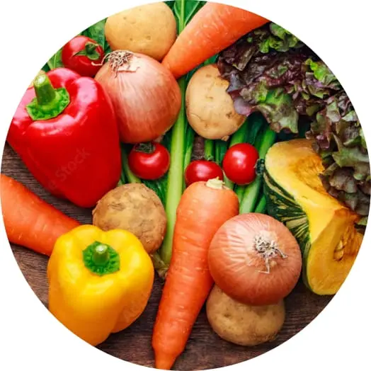 さまざまな野菜が並んでいる様子